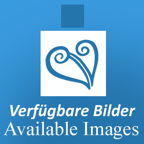 Available Images of Gerhard Veitsberger